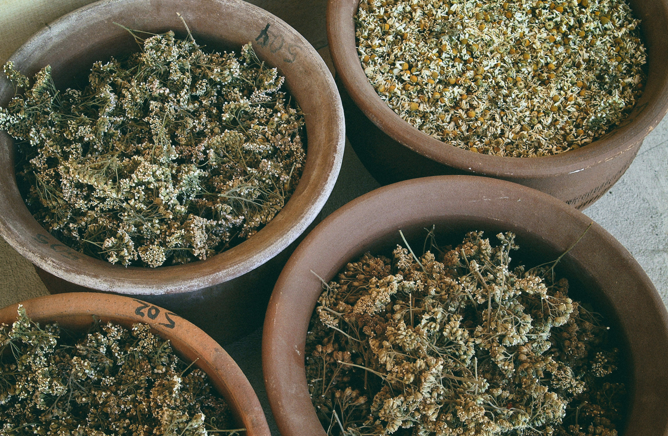 Emiliana,Viñedos Emiliana,Viña Emiliana,Adobe,ge,novas,Guilisasti,biodynamic,organic wine,vegan wine,Carmenere,biodiversity