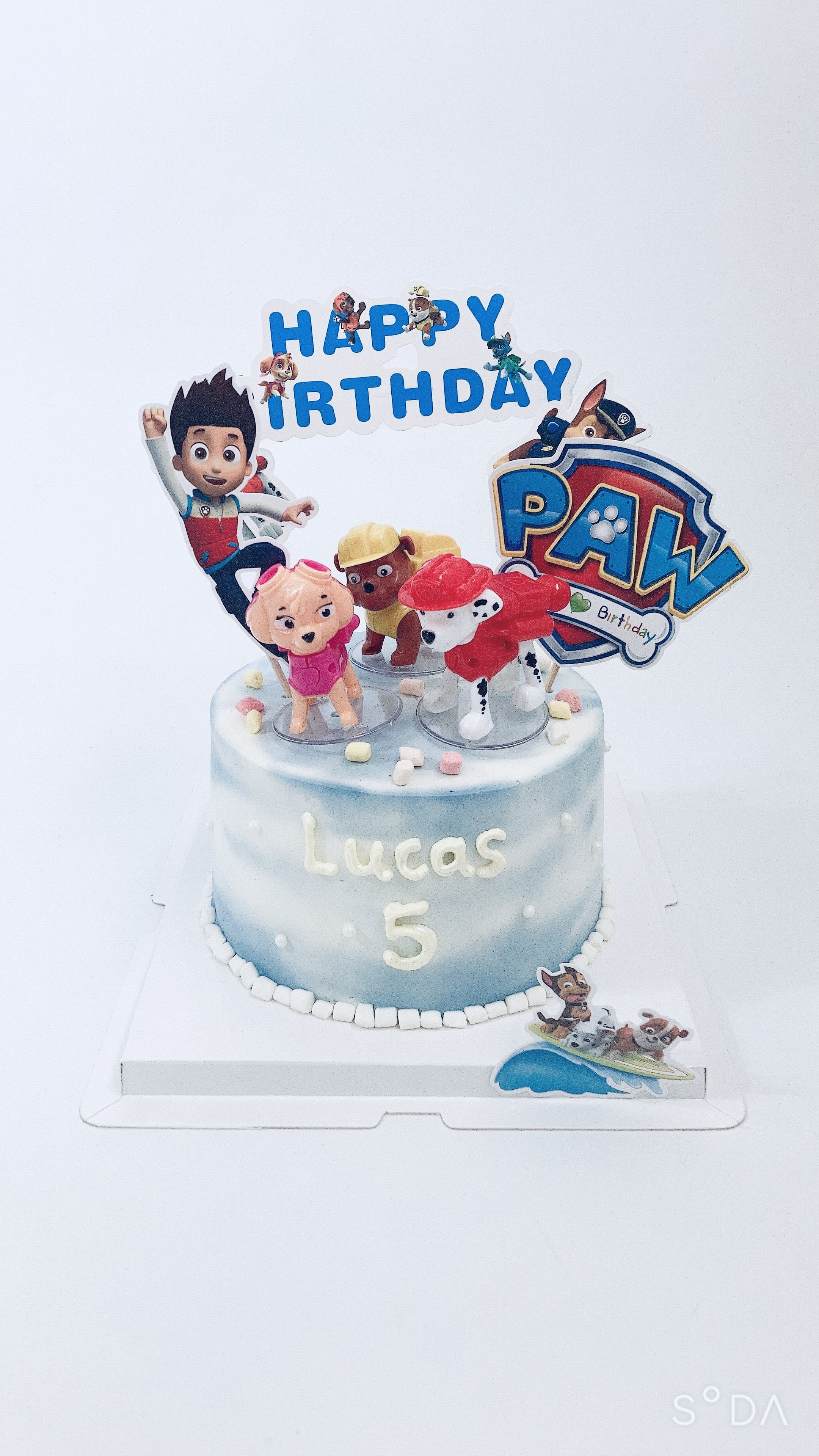 汪汪隊 (含5隻狗)