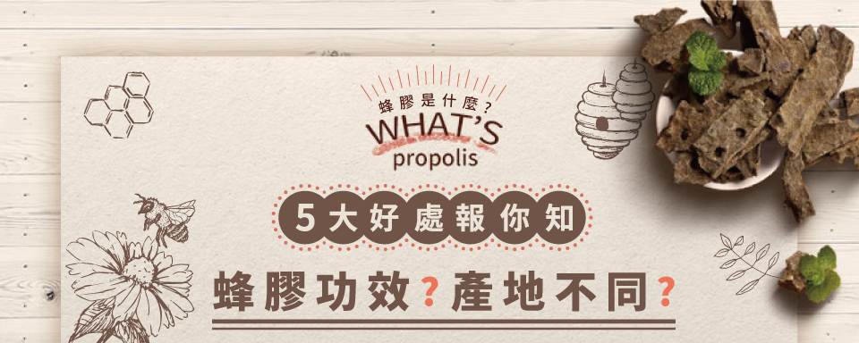 蜂膠是什麼？吃蜂膠好處有哪些？不同蜂膠產地差別？5大好處報你知