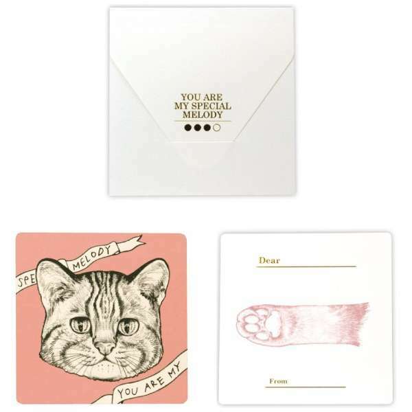 豹貓 方形萬用卡片 白色信封｜日本cashico