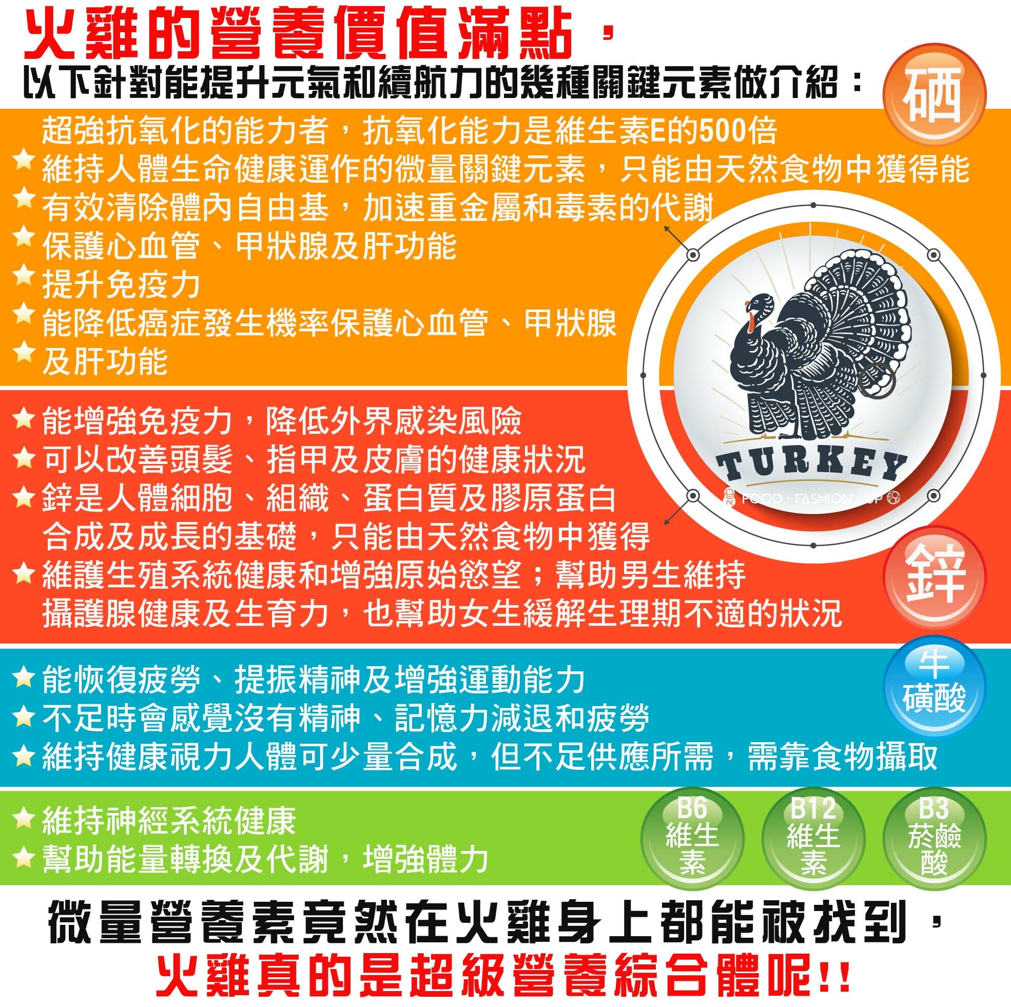 新鮮全火雞_趕食髦火雞 台灣火雞營養價值滿點 訂購 宅配