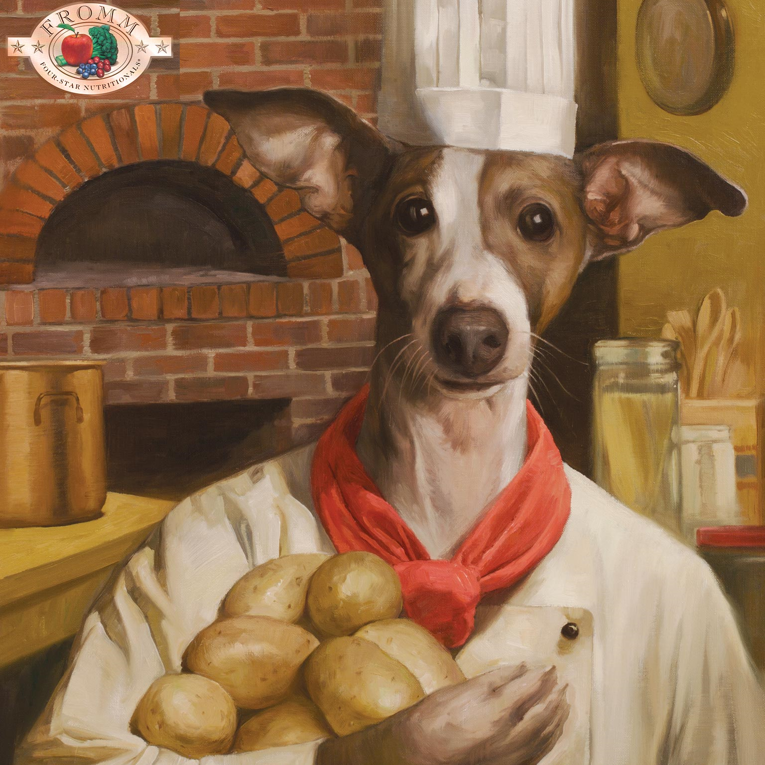 Fromm Dry Dog Food - Salmon À La Vegetable Recipe．4lb/12lb/26lb