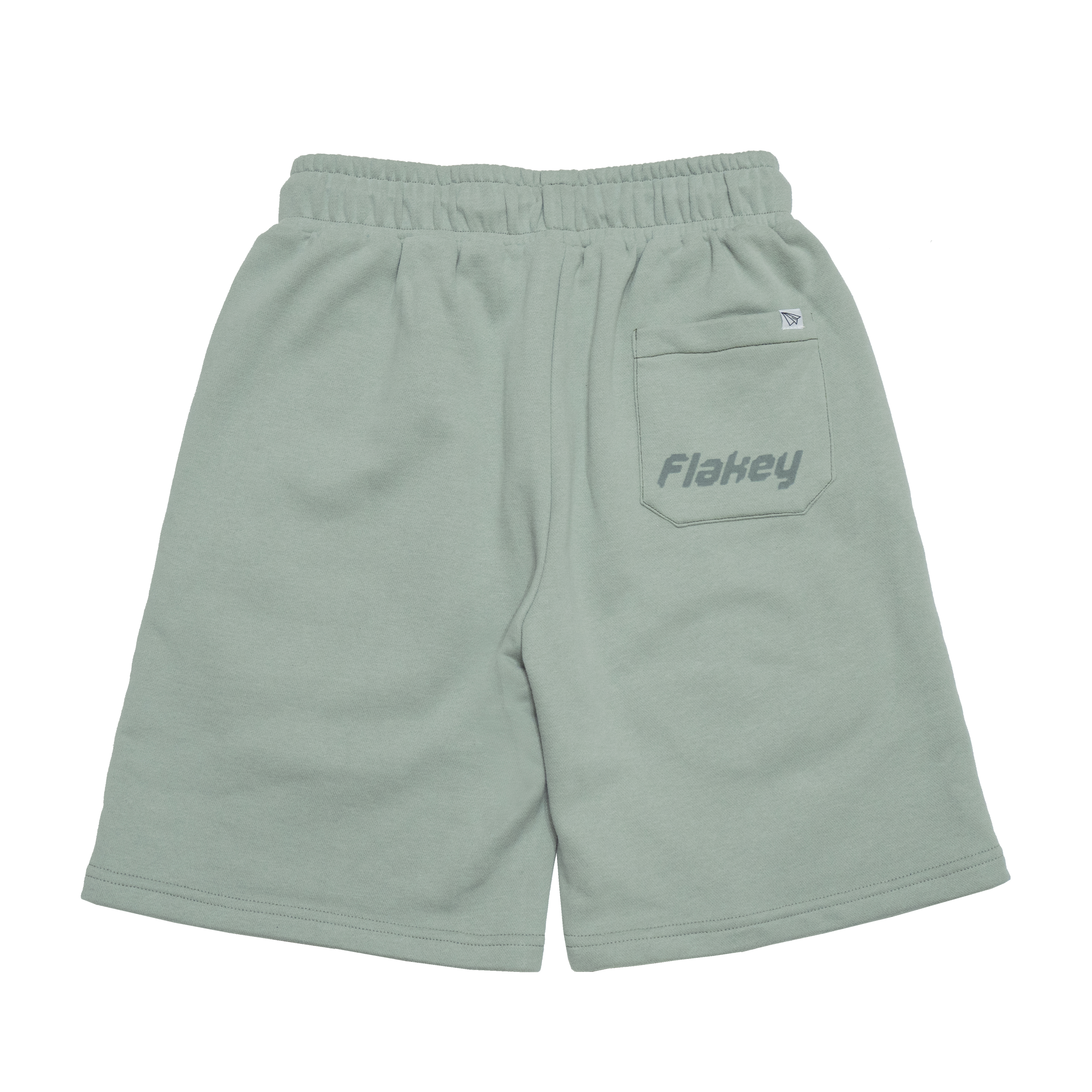 FLAKEY Logo 淺綠短褲 2.0