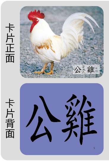 創意手提識字卡-動物