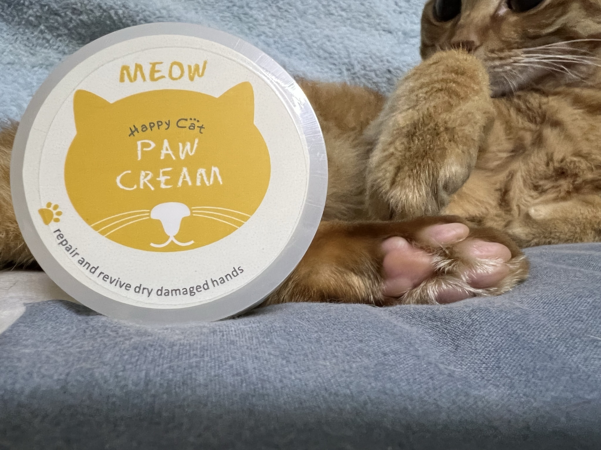 台灣 Mr.Tail - Happy Cat 貓咪趴趴走乳沐果護掌霜 (貓用)