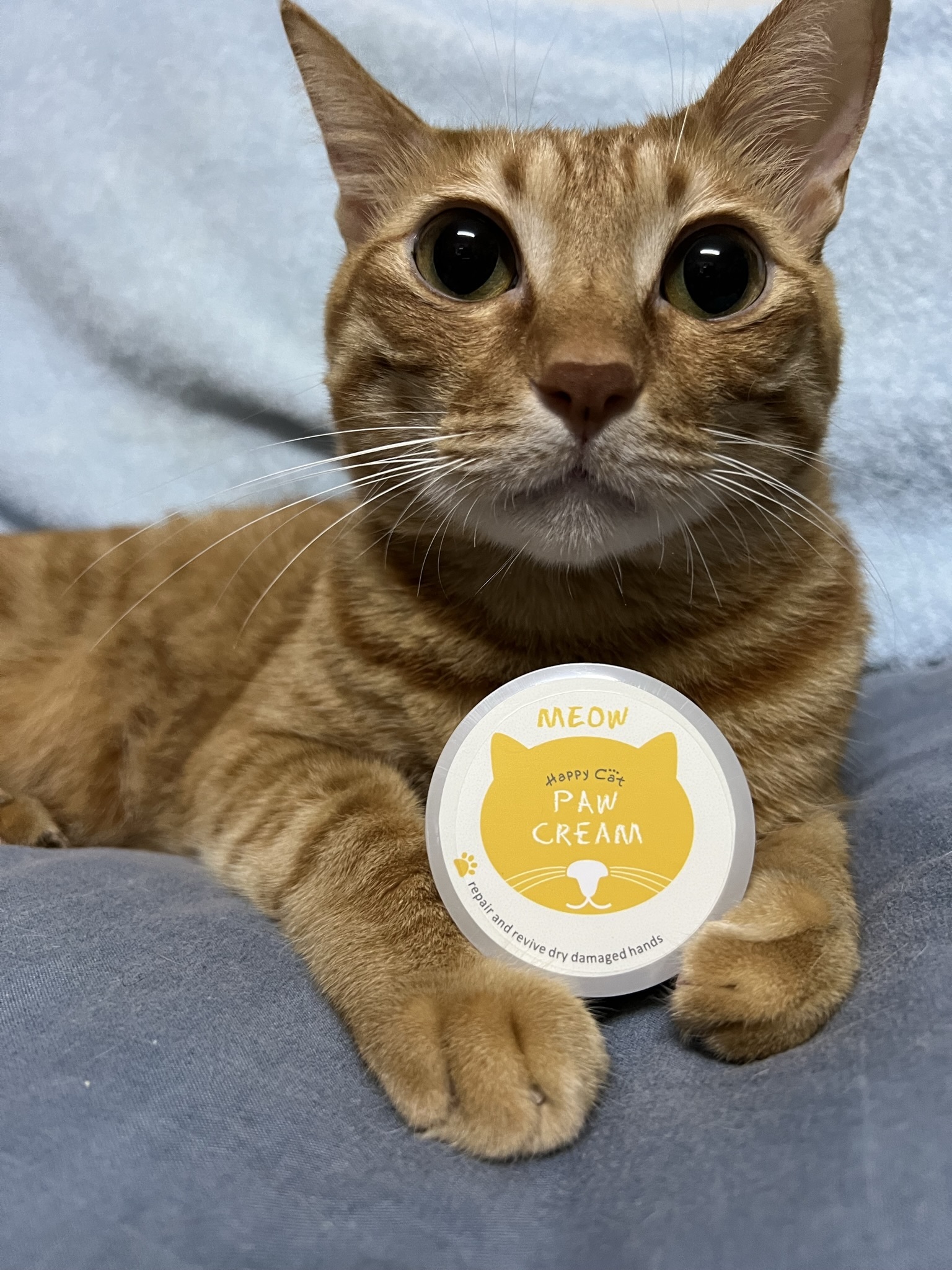 台灣 Mr.Tail - Happy Cat 貓咪趴趴走乳沐果護掌霜 (貓用)