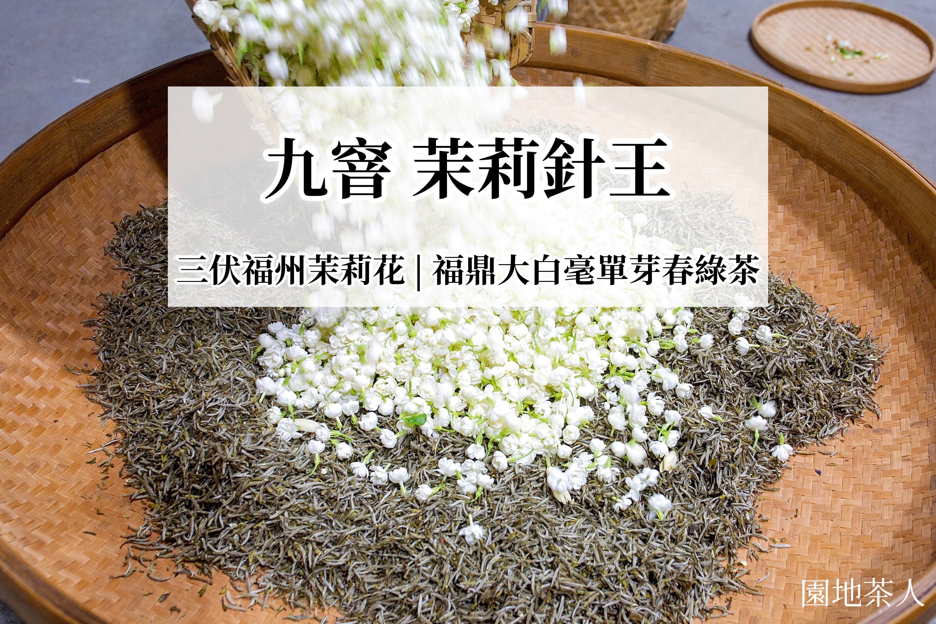 Nine-time Scented Jasmine Premium Tea 福州茉莉花茶Fuzhou Ja