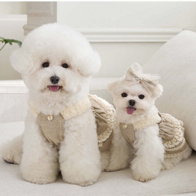 髮夾-Cancan紗鑽-髮夾 髮飾-Beige-It’s sunny outside