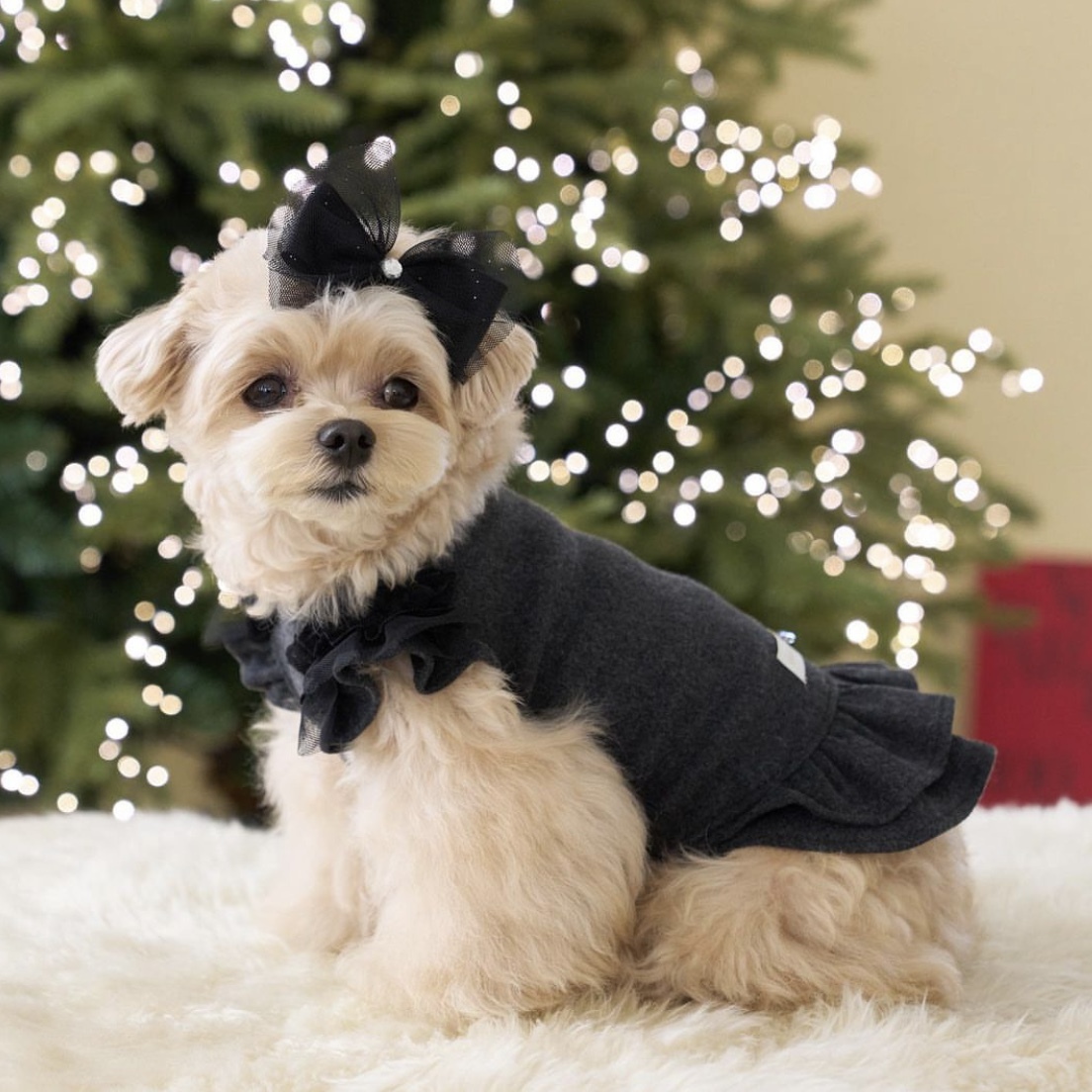 Mellow粉系寶寶連衣裙-炭灰黑Charcoal-It’s sunny outside