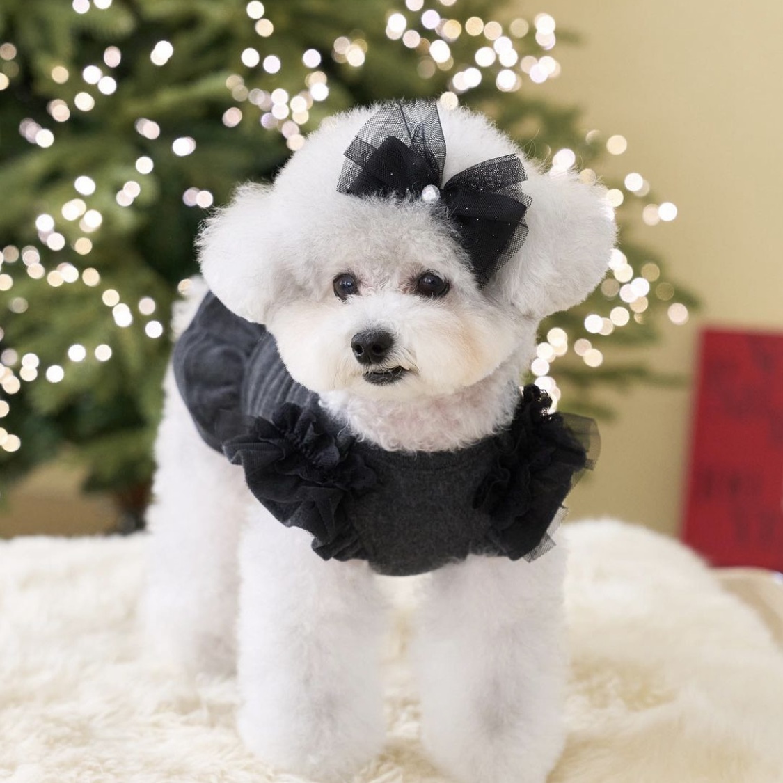 Mellow粉系寶寶連衣裙-炭灰黑Charcoal-It’s sunny outside