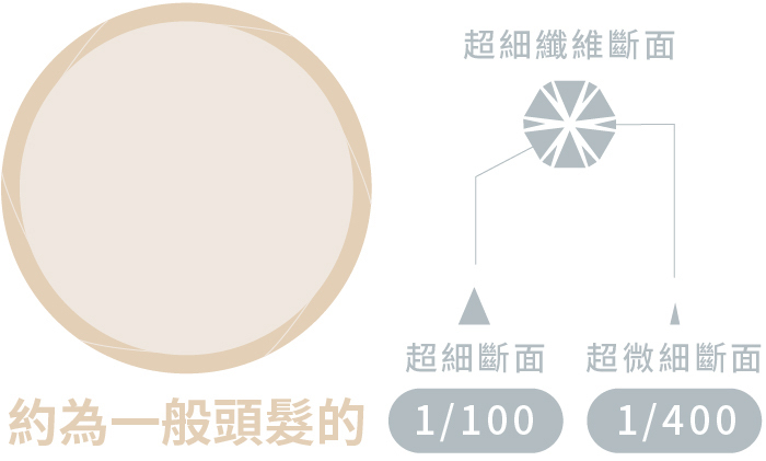 超微細纖維與一般頭髮的面積示意