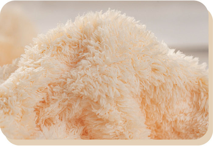 巾朵雲纖維示意