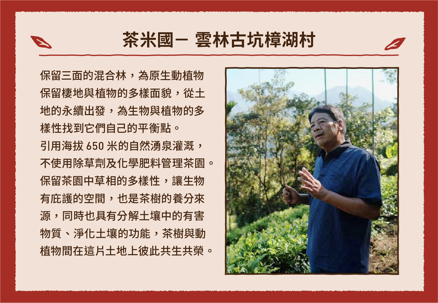 2023小家庭年菜預購 x 一人年菜公益行動｜三小市集 茶香永續年菜