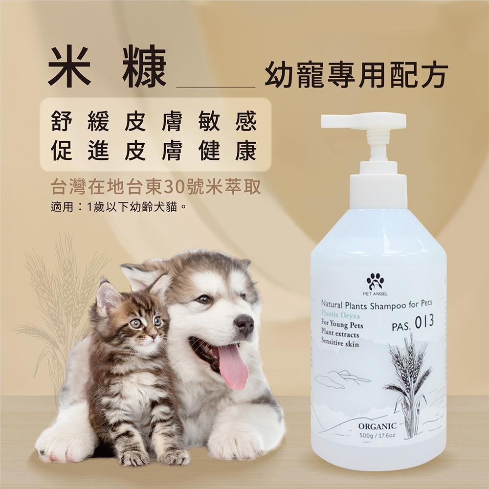 【PETANGEL 毛天使】米糠 13｜幼年寵專用配方-犬貓通用