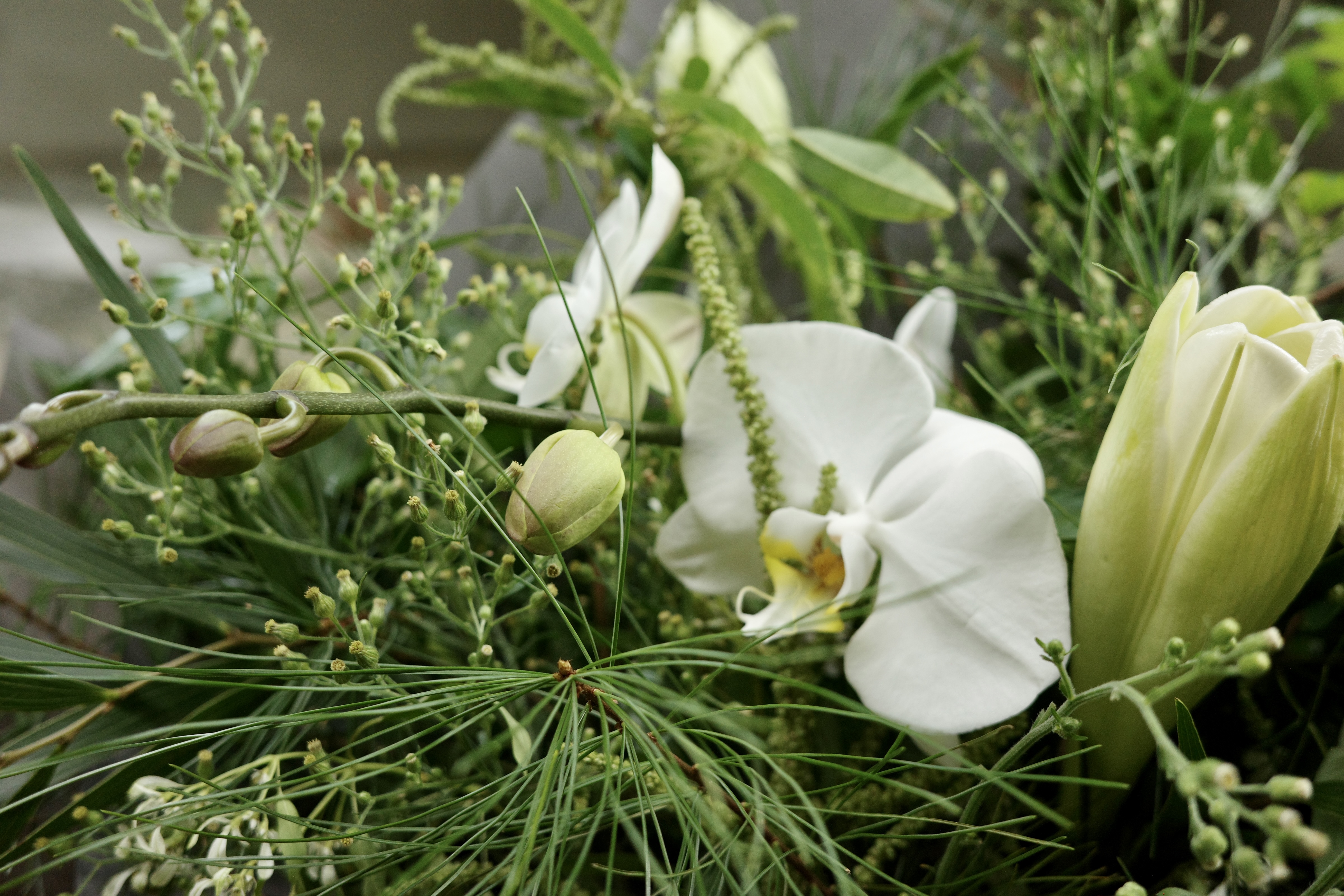 山居於此｜新竹限定