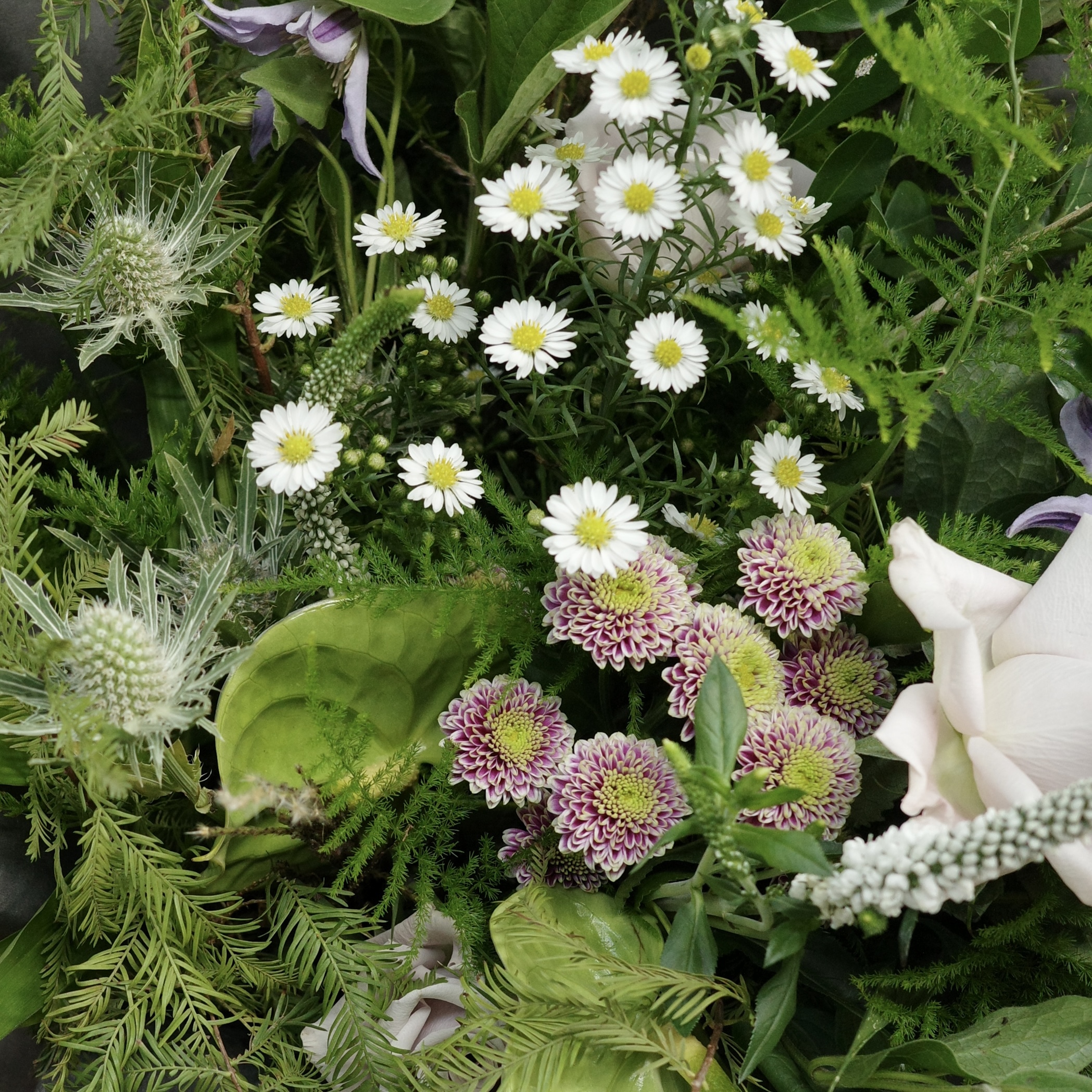 等一場雨｜新竹限定