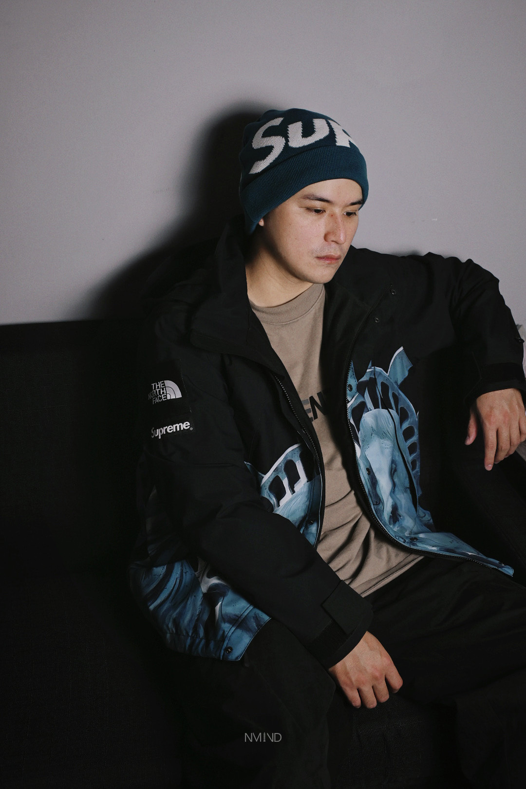 THE NORTH FACE SUPREME マウンテンジャケット自由の女神XL Supreme The North Face 自由の女神 マウンテンパーカー