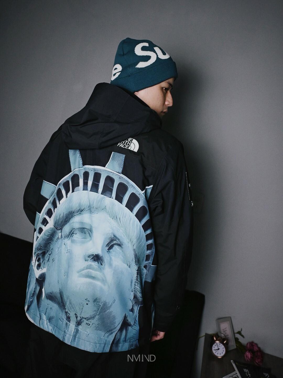Supreme®/The North Face® Statue of Liberty Mountain Jac