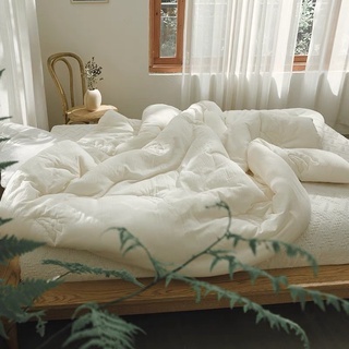 【夏被冬被】大豆親膚棉被被芯