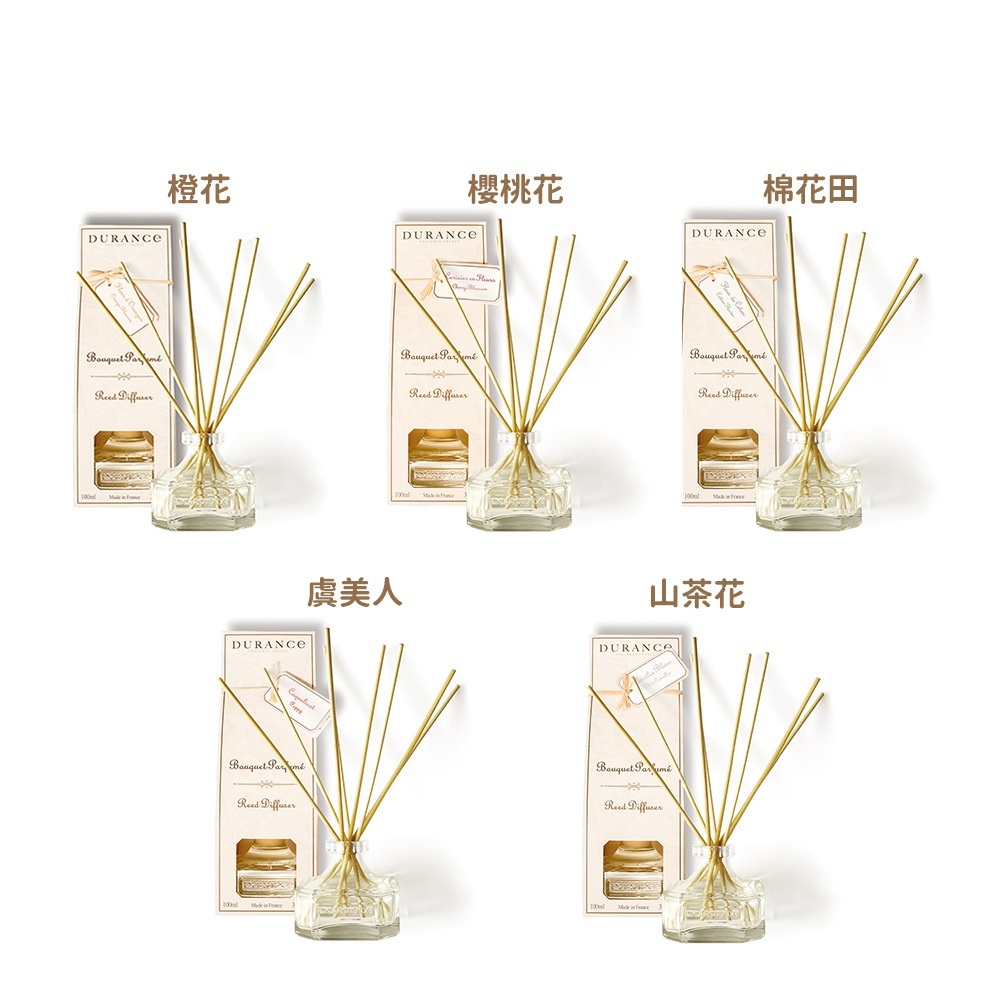 DURANCE朵昂思 大地擴香組(100ml)+補充瓶(250ml)-多款任選