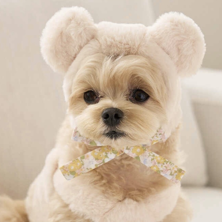 毛茸茸-造型保暖帽-奶油白-It’s sunny outside