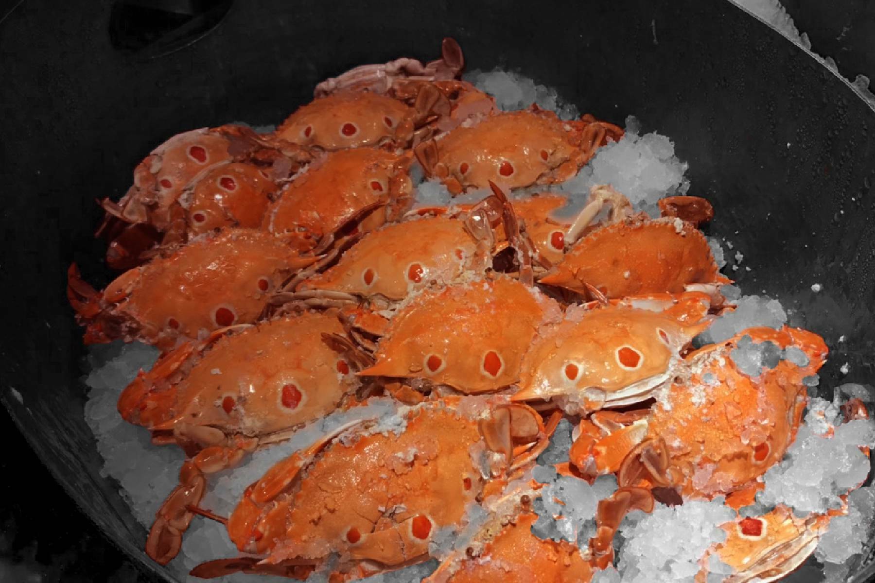 聯上大飯店-帕里巴黎 三點蟹