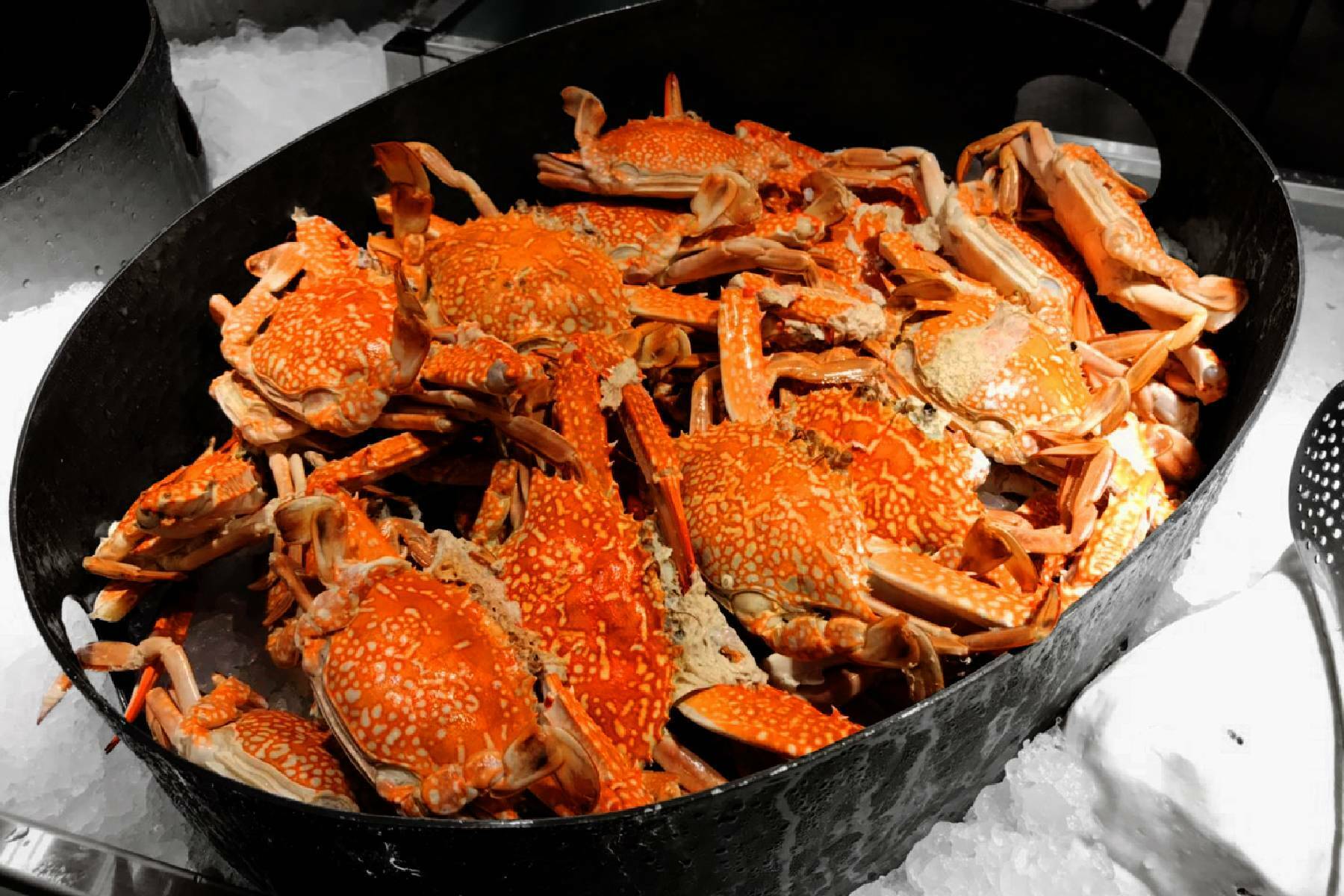 聯上大飯店-帕里巴黎 螃蟹