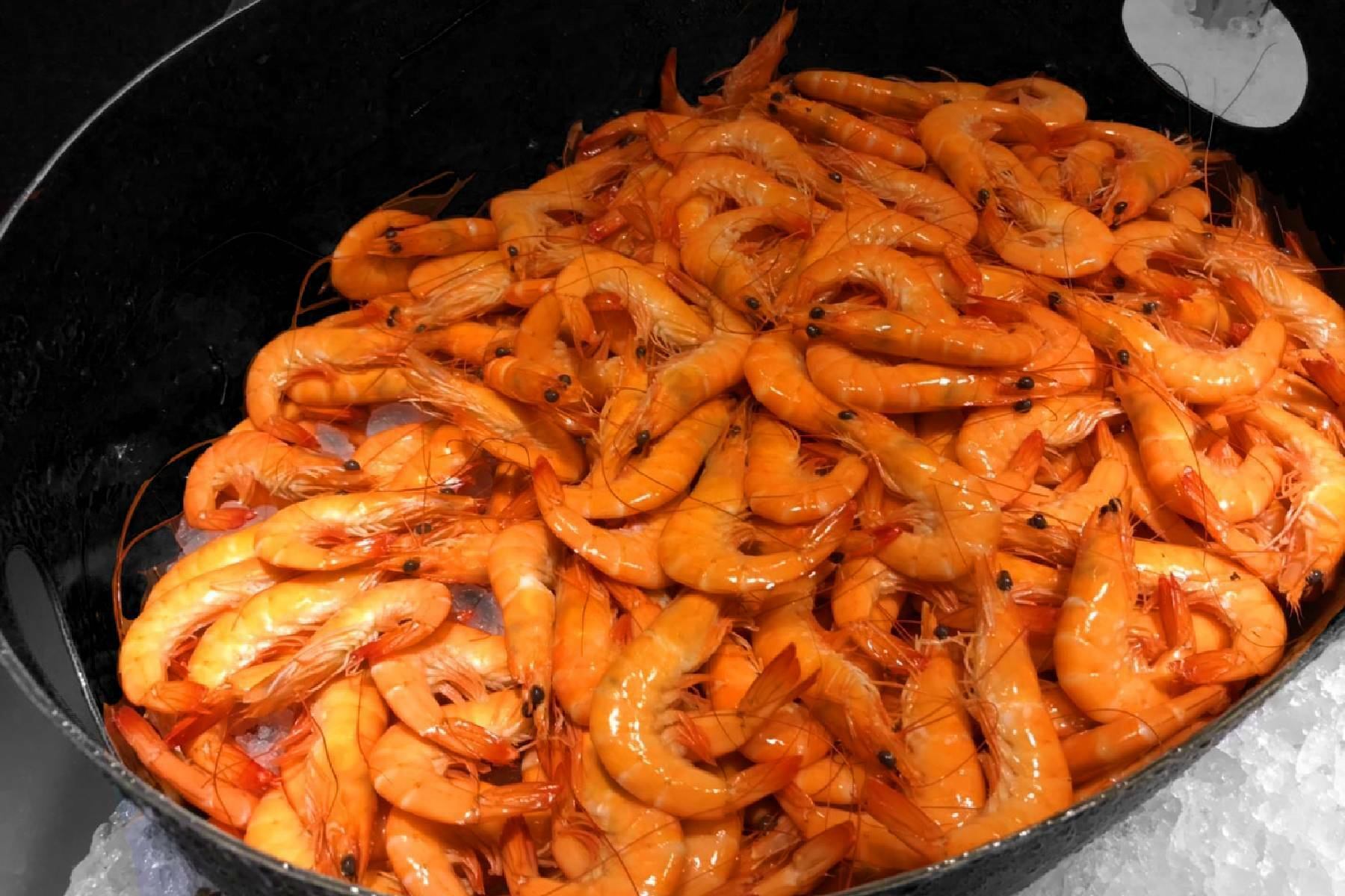 聯上大飯店-帕里巴黎 蝦子