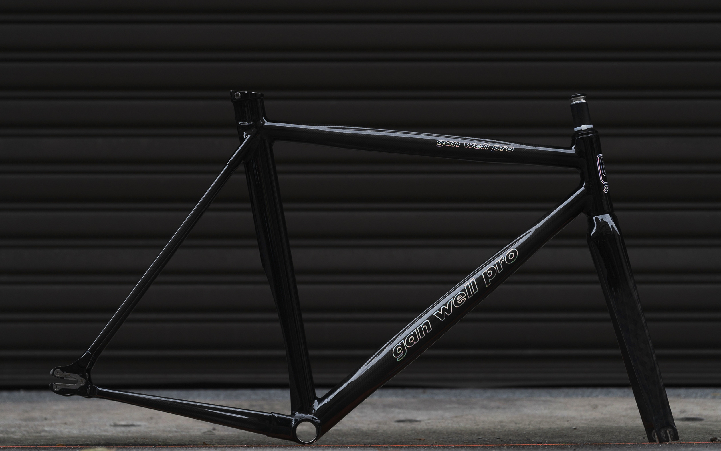 Gan Well Pro Carbon Track Bike Frameset (Used)