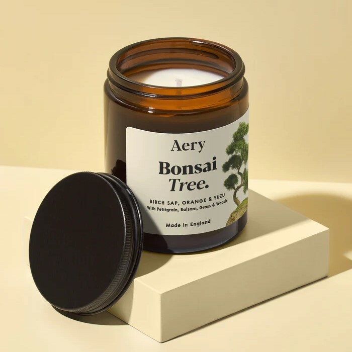 BONSAI TREE 盆景 植物園香氛蠟燭 - Aery Living