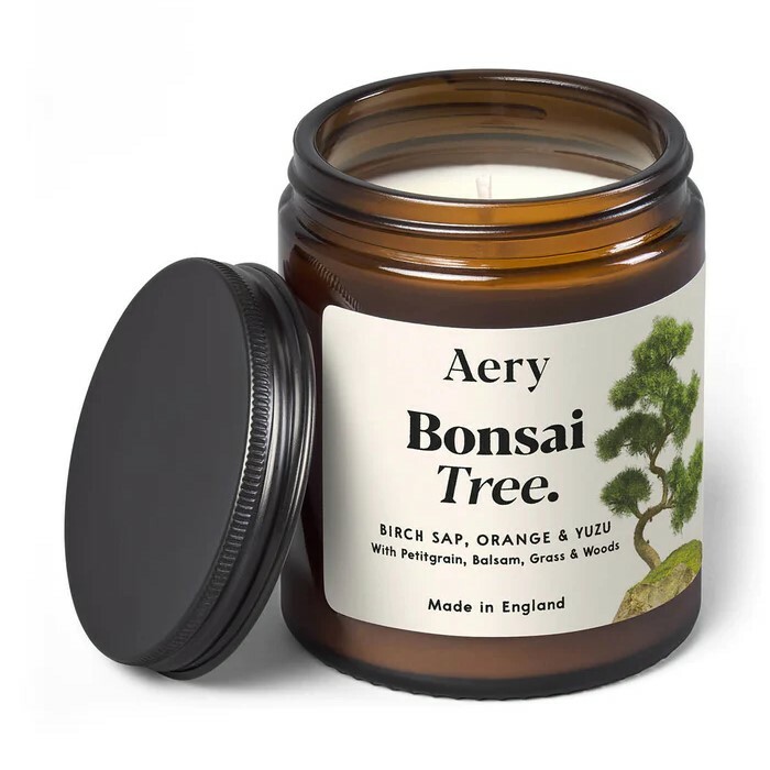 BONSAI TREE 盆景 植物園香氛蠟燭 - Aery Living