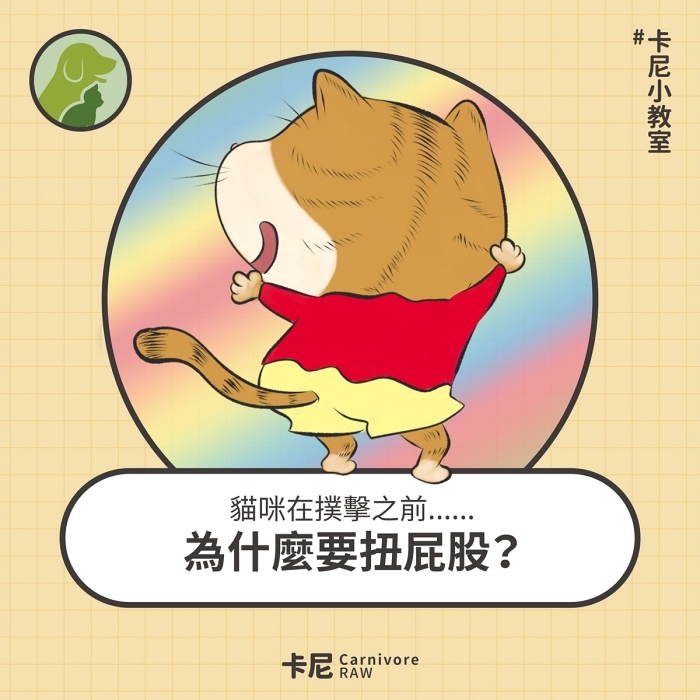 小新貓咪扭屁股