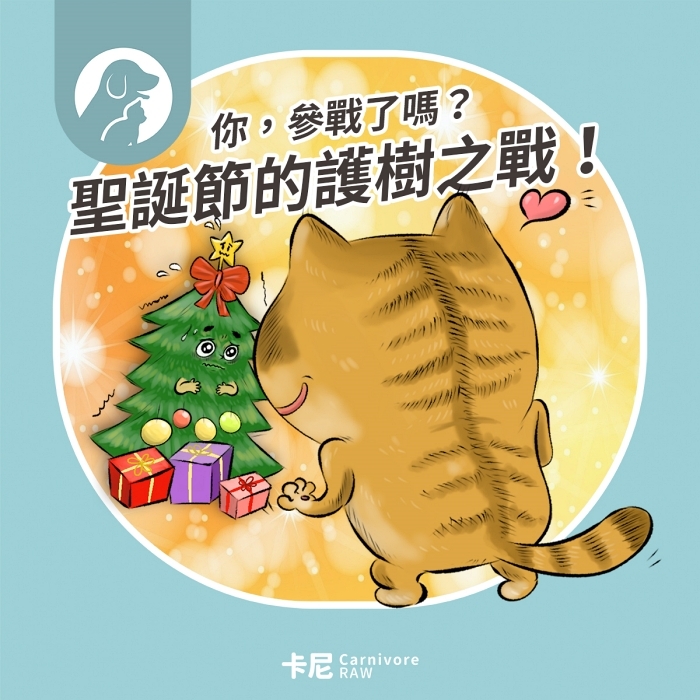 貓咪準備攻擊聖誕樹