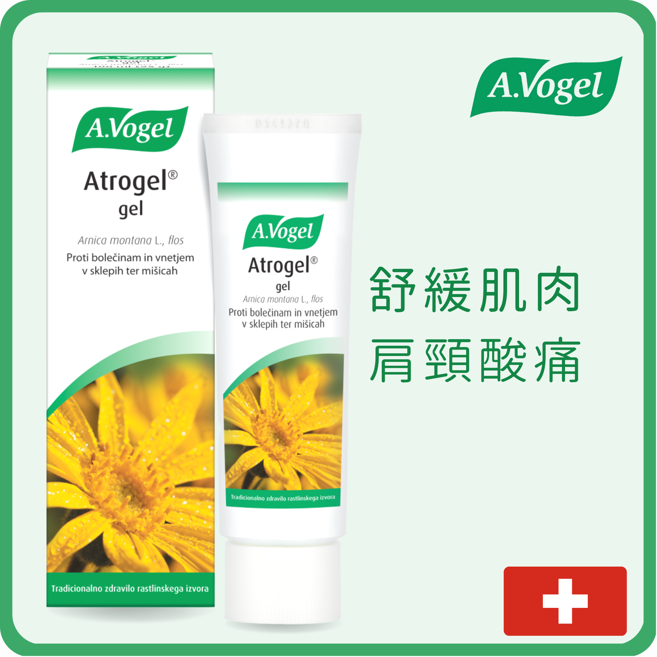 A.Vogel 肌肉關節舒緩止痛按摩啫喱 100ml (平行進口)