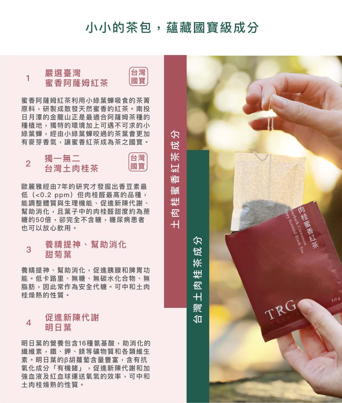 小小的茶包,蘊藏國寶級成分