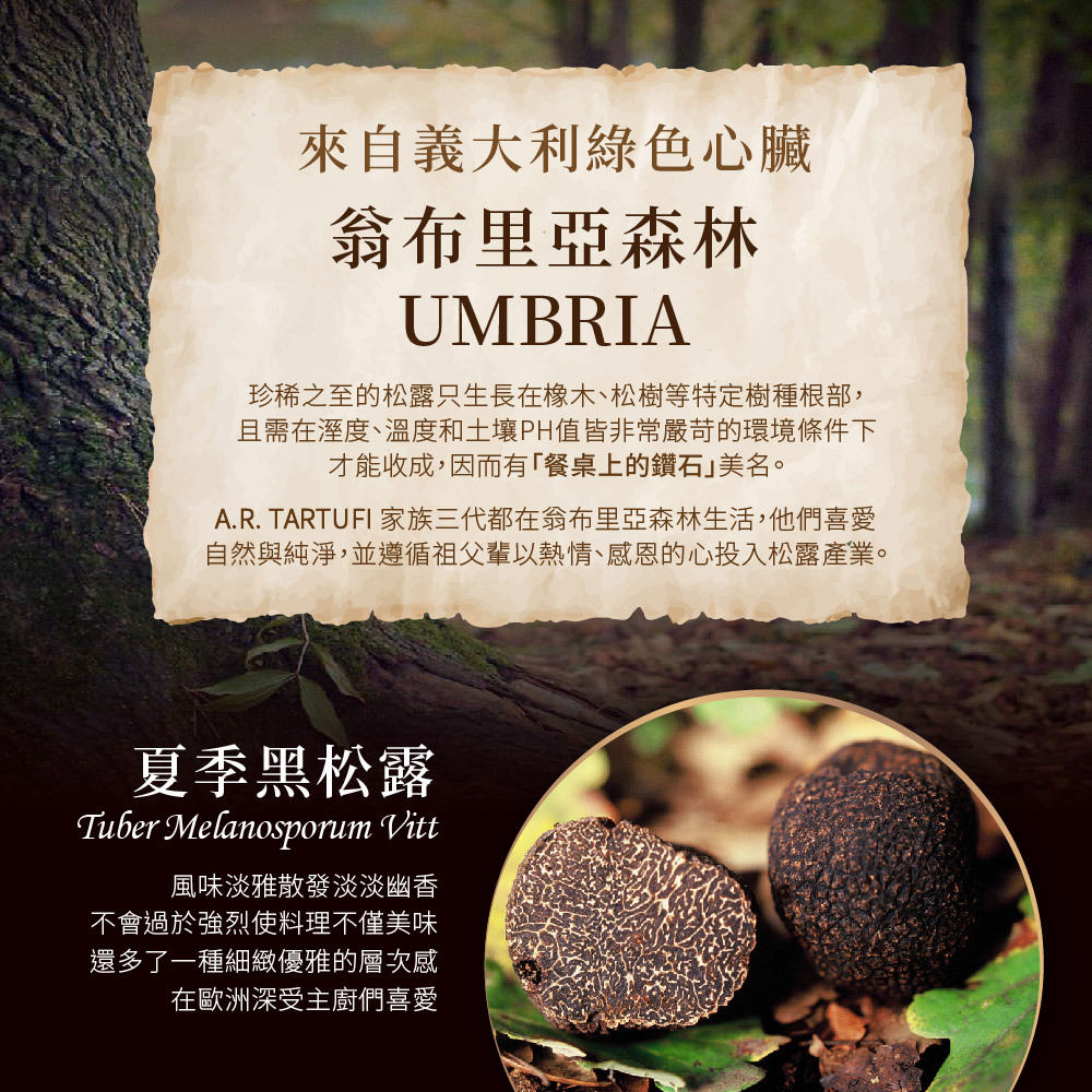 松露醬品牌 |義大利松露醬 | 松露醬推薦 - 森森采食
