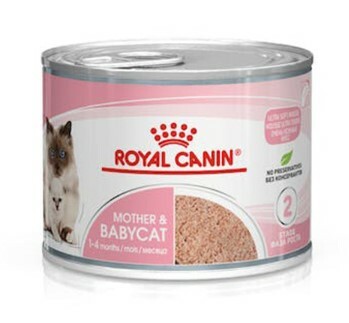 Royal Canin離乳貓與母貓專用濕糧-195g(12罐)
