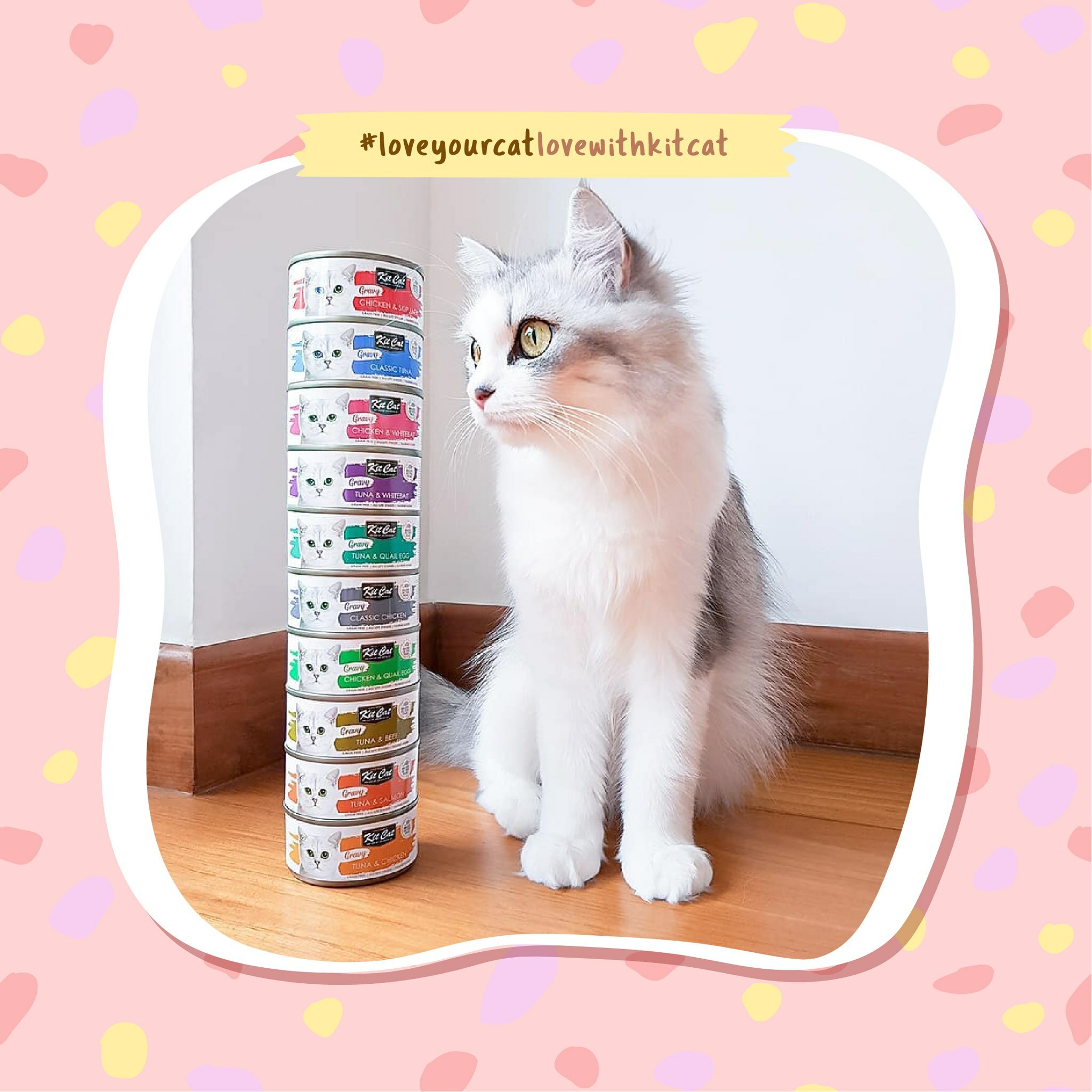 Kit Cat Gravy 鮮嫩營養肉汁湯貓主食罐