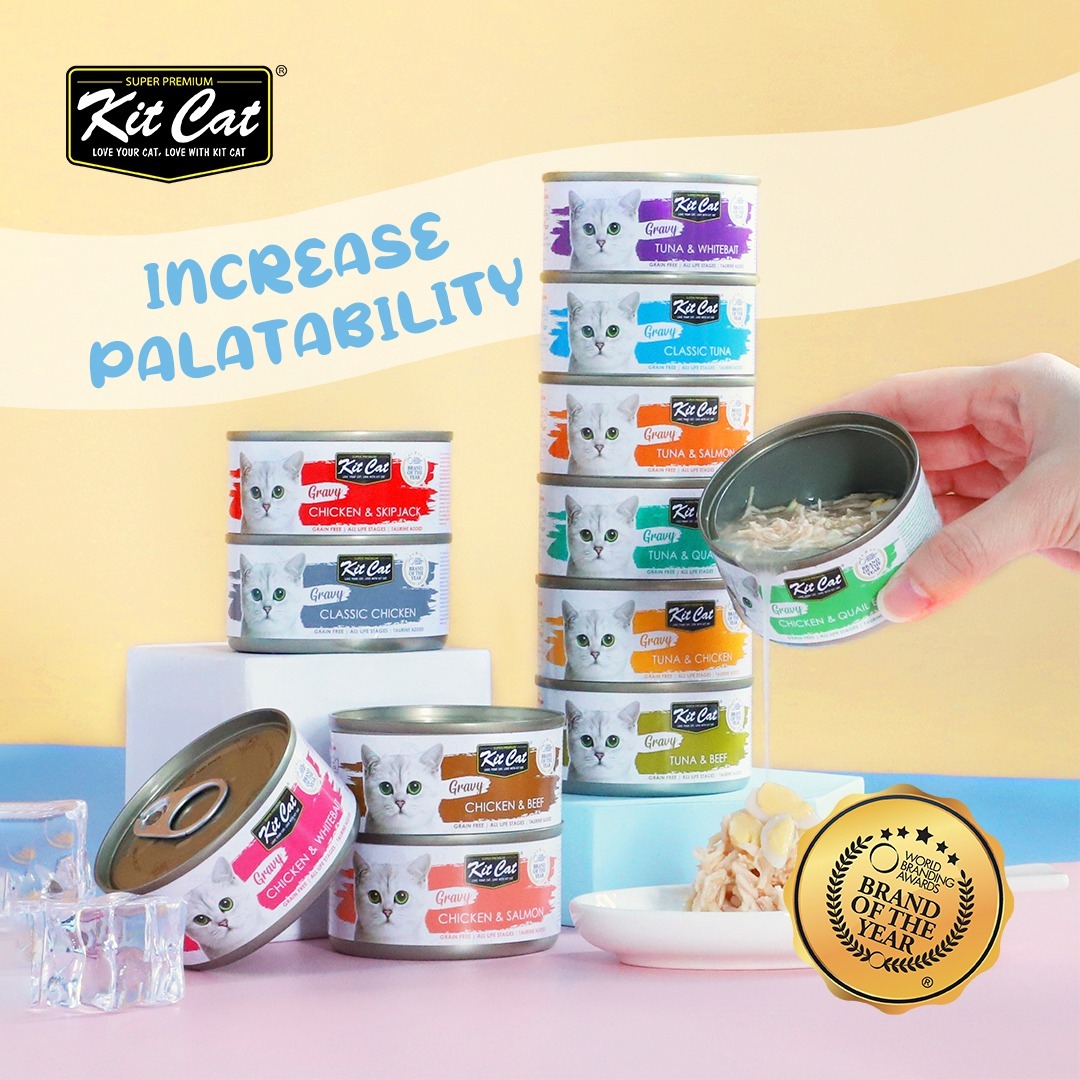 Kit Cat Gravy 鮮嫩營養肉汁湯貓主食罐