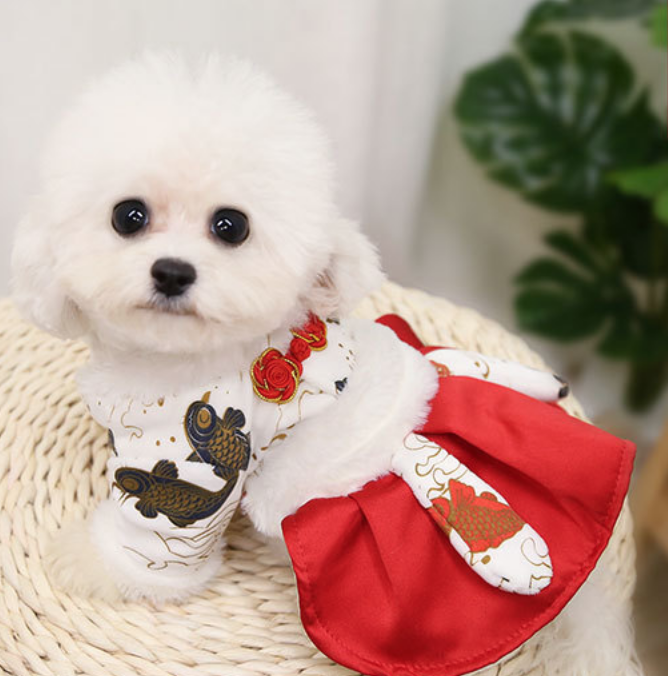 【新上架！】Petsuperpet 寵物狗狗衣服- 中國風鯉魚款賀年唐裝 (4尺寸)