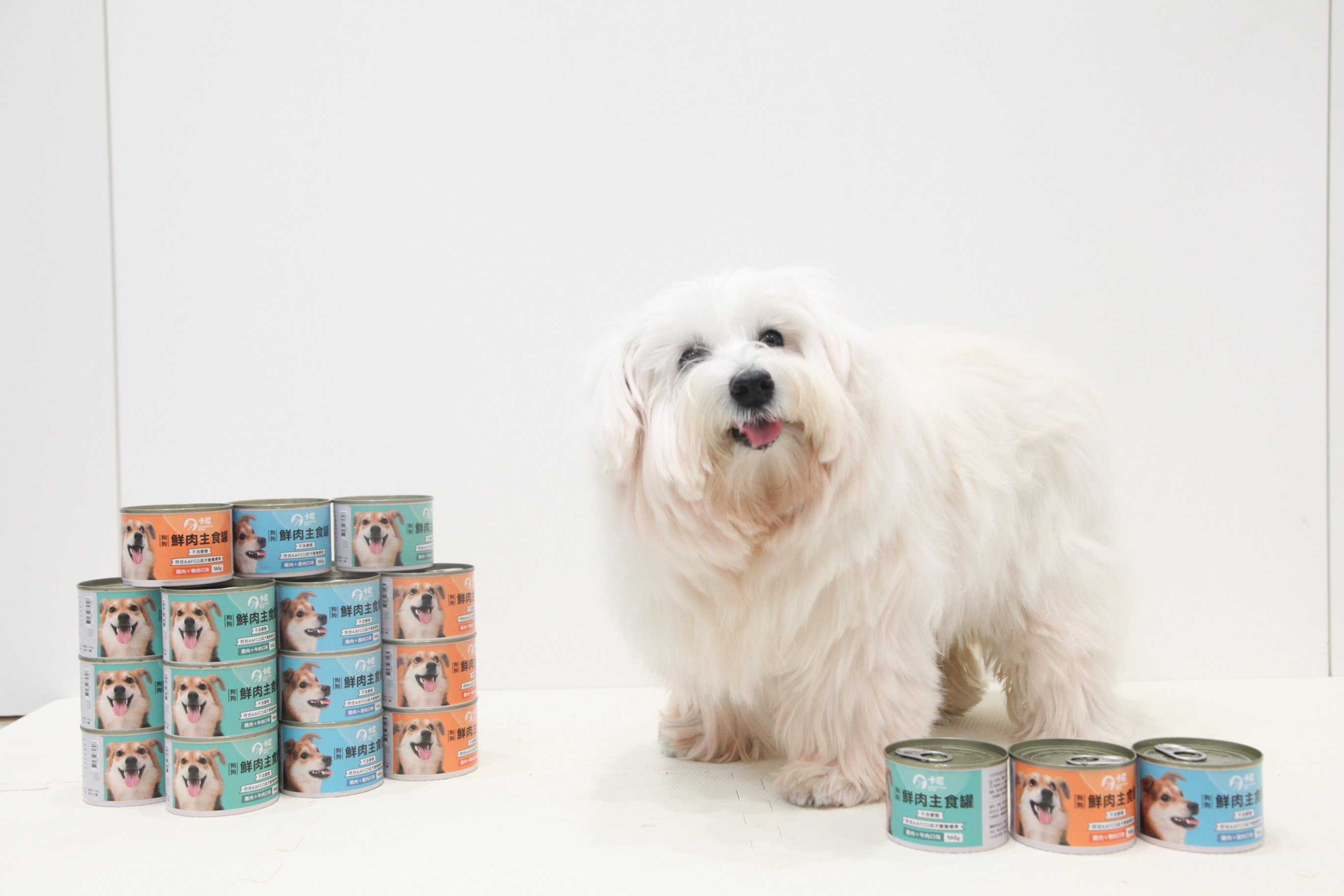 白色狗狗與卡尼罐罐