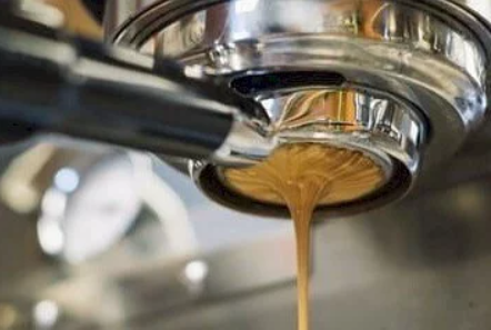 SCA Barista Skills Professional 咖啡師技能專業級證書課程