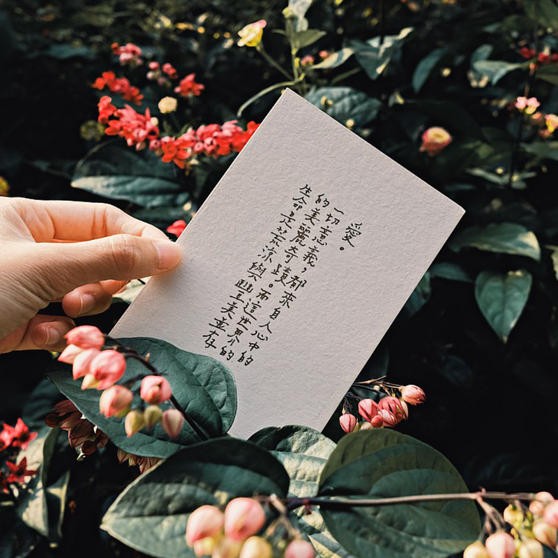 My Greengreen Island Postcard－Life is a miracle (Taiwanese Stationery Brand)