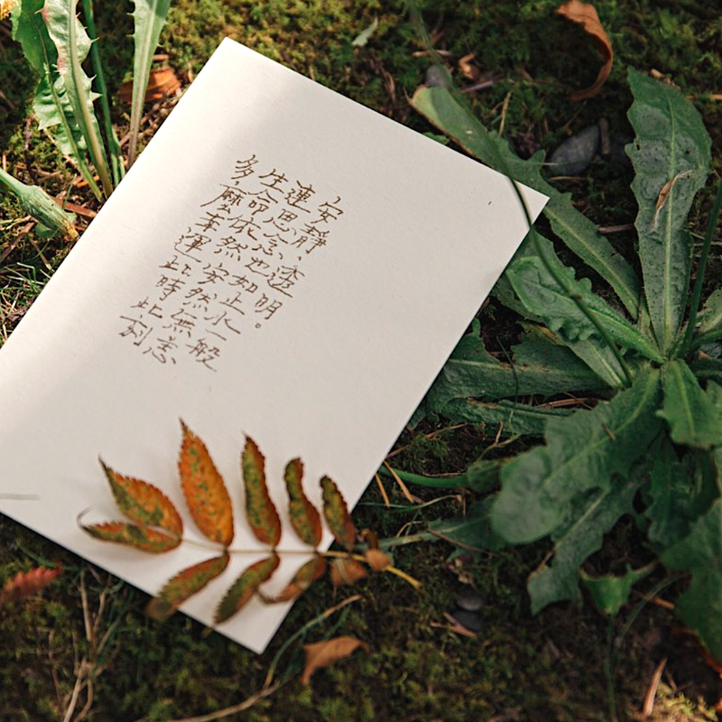 My Greengreen Island Postcard－Be safe (Taiwanese Stationery Brand)