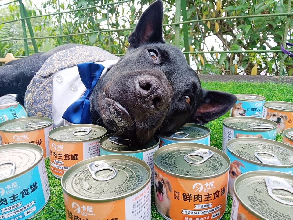 黑狗與卡尼罐罐