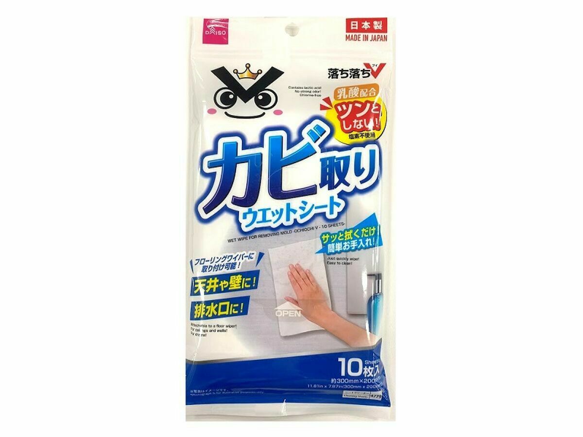 OchiV除霉清潔濕巾/10入