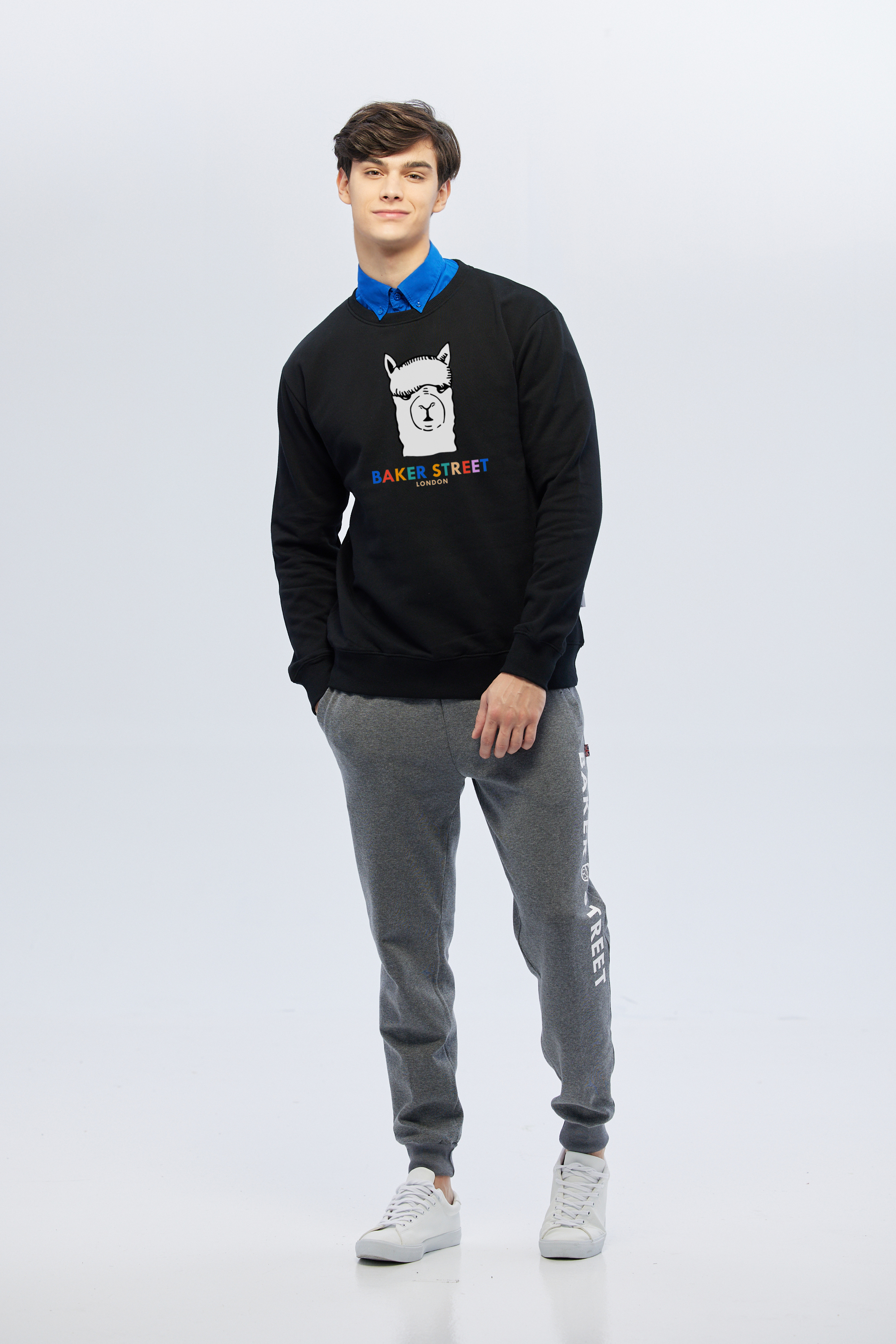 Classic style Alpaca LOGO 經典羊駝大LOGO 高磅數長袖圓T