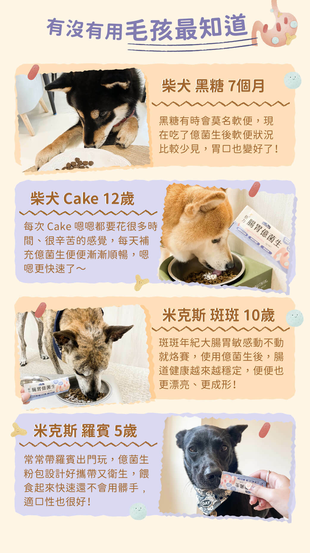 Blue Bay倍力® 腸胃億菌生