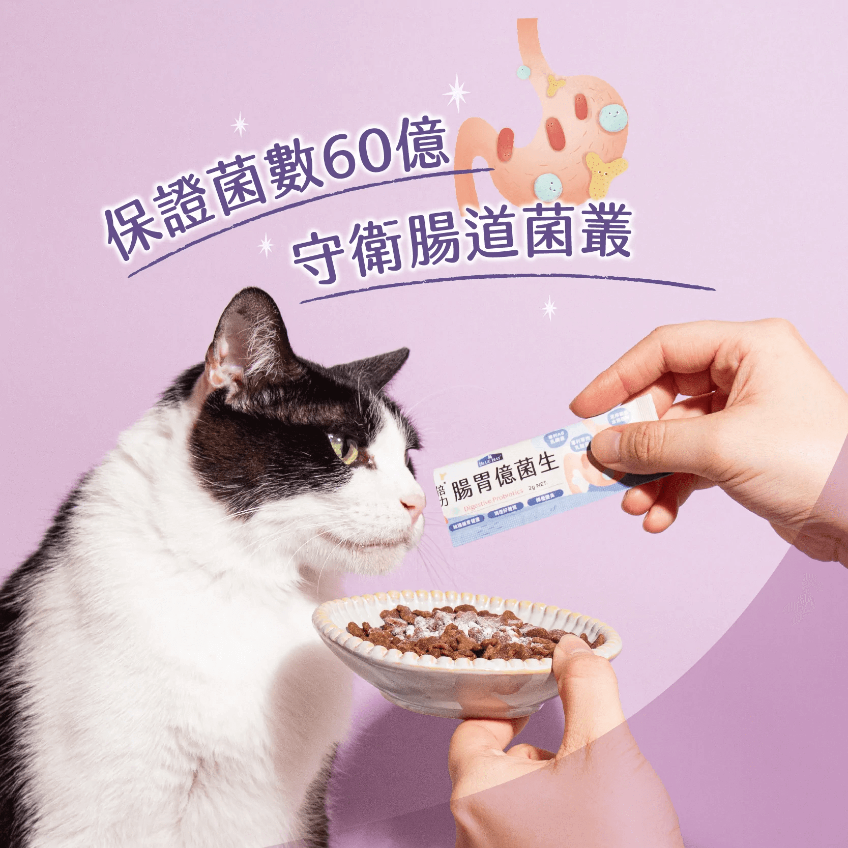 【現貨8折】Blue Bay倍力® 腸胃億菌生 - 30包入 (貓狗適用)