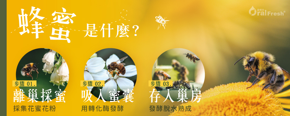 蜂巢蜜好處多嗎？蜂蠟是什麼？5大蜜蜂產物全解析！